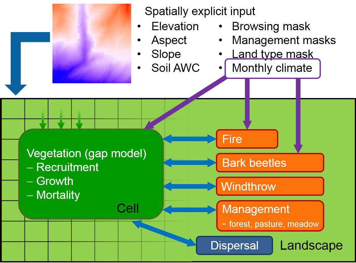 Overview of the model